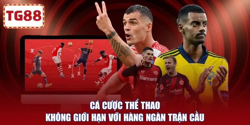 Cá cược thể thao không giới hạn với hàng ngàn trận cầu 